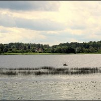 Летнее наслаждение... :: Aleksandr Gal