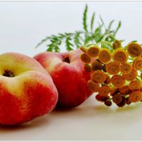 ПЕРСИКИ... :: Elvira E. 