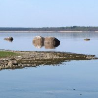 Пейзаж с чайкой :: Александр Ильчевский Пейзаж с чайкой :: Александр Ильчевский
