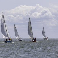 Регата :: Андрей Lyz Регата :: Андрей Lyz