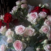 С ДНЕМ СЕМЬИ,ЛЮБВИ И ВЕРНОСТИ! СЧАСТЬЯ ВАМ! :: Елена Семигина