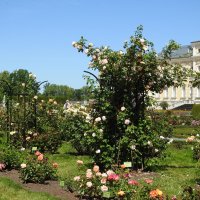 французский парк в Рундале :: ИННА ПОРОХОВА французский парк в Рундале :: ИННА ПОРОХОВА