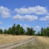 Мои дороги. :: Виктор 