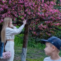 "Райский сад " :: Сергей Шатохин 