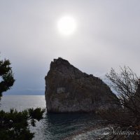 Природа Крыма :: Amazing Cosmea