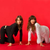 девушки-близнецы позируют в студии :: Радомир Тарасов