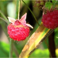 . :: Leonid Rutov . :: Leonid Rutov