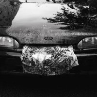 Лада :: Даниил hirviphoto.art