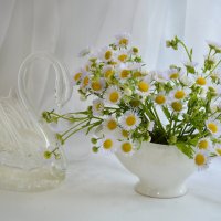 С ПРАЗДНИКОМ!!!  С Днём семьи, любви и верности! :: Надежда Куркина 