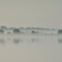Я ёжик, я в тумане.) :: Марина 