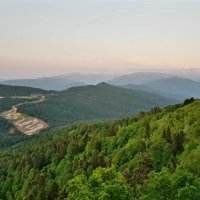 ПЛАТО ЛАГОНАКИ :: Tata Wolf