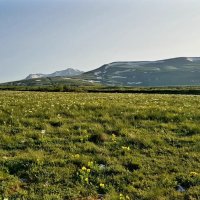 ПЛАТО ЛАГОНАКИ :: Tata Wolf