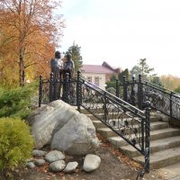 *** :: Надежда Куркина 