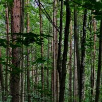 В полосочку…) :: Любовь 