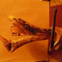 ОТЧАЯНИЕ ... (деревянная пластика) :: Валерий Кокорев