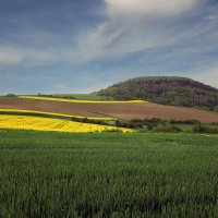 Поля :: Андроник Александр Поля :: Андроник Александр