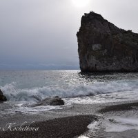 Природа Крыма :: Amazing Cosmea