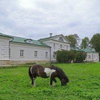 Дом Волконского в Ясной поляне :: ИРЭН@ .