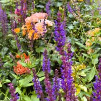 Веселая лужайка :: Мария - Maria