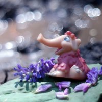 О розовых слониках лета...:-) :: Андрей Заломленков