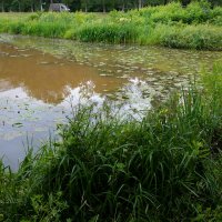 На берегу :: Александр Синдерёв