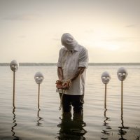 * :: Нина Зорич