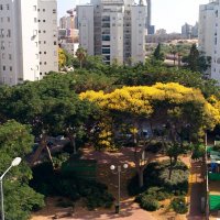 Вид с балкона :: Светлана Хращевская