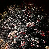 Летние этюды 57 :: Алексей Кузнецов