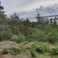 В Ботаническом саду Петрозаводска :: Ирэн 