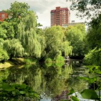 Старинный пруд в в Аптекарском огороде. :: Татьяна Помогалова