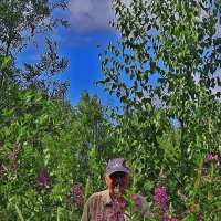 Июль...Среди цветов иван-чая ! :: Владимир 