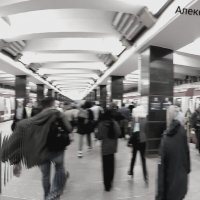 Транспортная суета :: Алексей Харькин