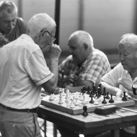 А у нас во дворе... :: emelka2 