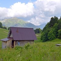 Домик на опушке :: Юрий Спасовский