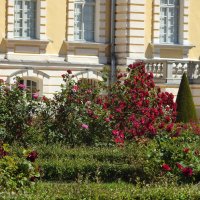 французский парк в Рундале :: ИННА ПОРОХОВА