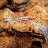 Закрытие сезона... :: Николай Гирш