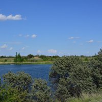 **** :: Виктор 