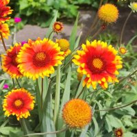 ,,, :: Сергей Тимоновский