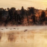 ***** :: Андроник Александр 