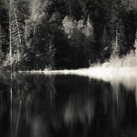 Природа Козелкина зутора :: Sergei Vikulov