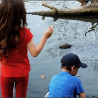 Дети кормят бобра яблоком :: Сергей Премонишын