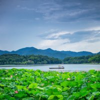 Озеро Сиху в Ханчжоу :: Дмитрий 
