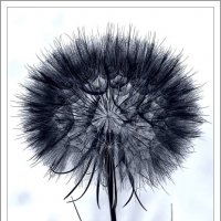 ... :: Юрий Ковшов