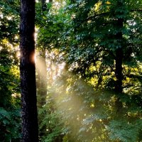 По лучику :: Александр Кондаков