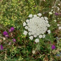 Ak Bulak. :: Murat Bukaev Ak Bulak. :: Murat Bukaev