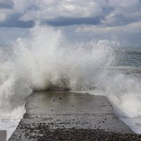 Шторм :: Александр Николаев