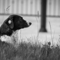 Вселенская грусть :: Владимир Калеев