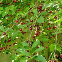 из снятого сегодня :: Александр Прокудин