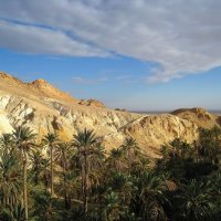 Кусочек Туниса. :: unix (Илья Утропов)