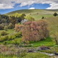 Ручеек :: **** vedin